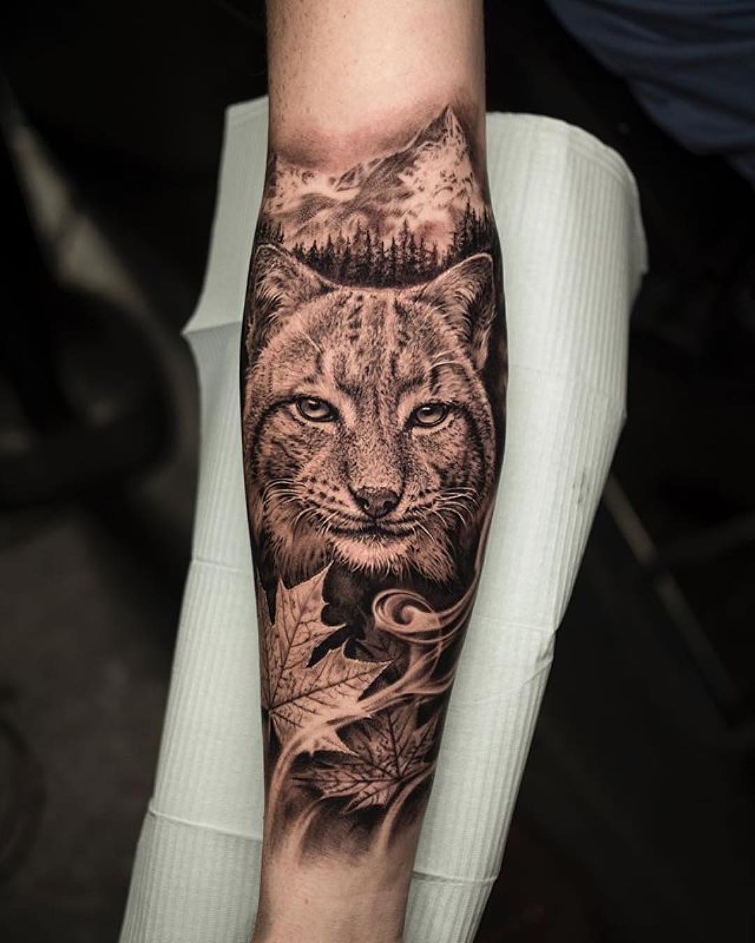 滑先生小臂写实枫叶猫纹身图案