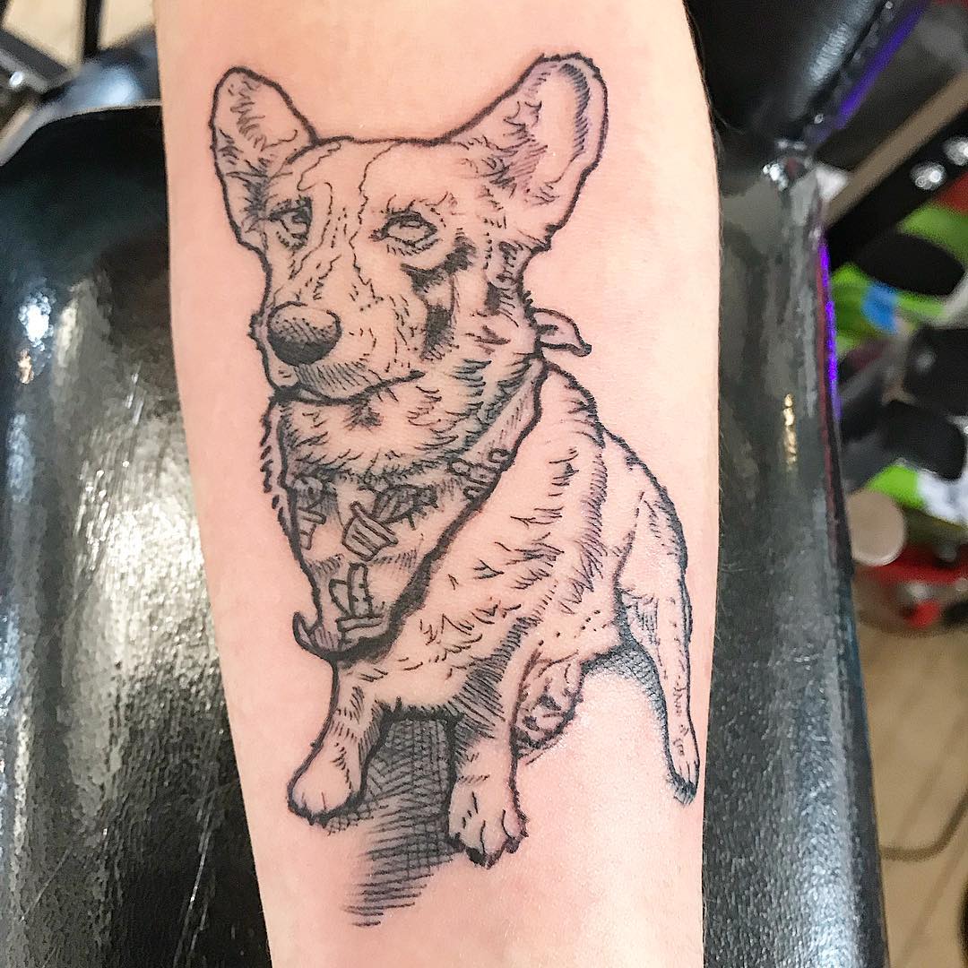 潘先生小臂写实狗狗纹身图案