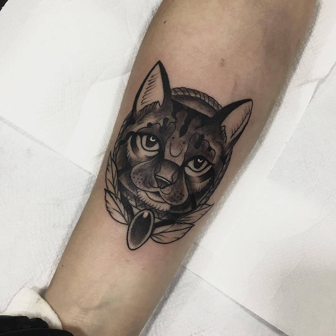 做体育老师的段先生小臂猫咪纹身图案